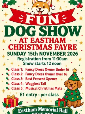 15 10 26 Christmas Fayre Fun Dog Show